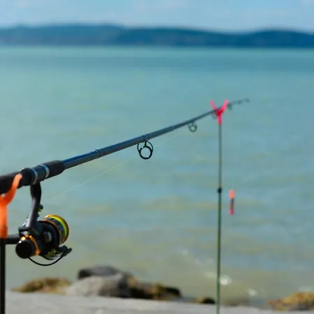 Hethland Vsz üdülő Konukevi Zamárdi